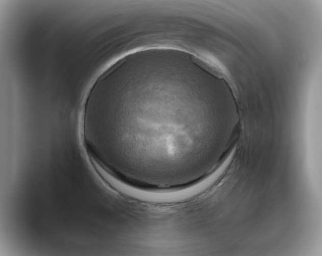 X0000089731528200707051729
