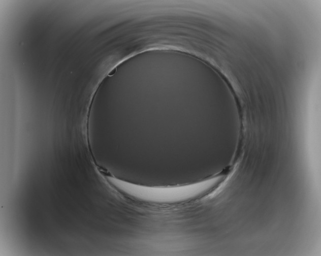 X0000089731529200707051729