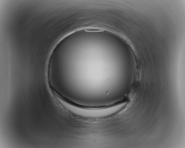 X0000089731530200707051729