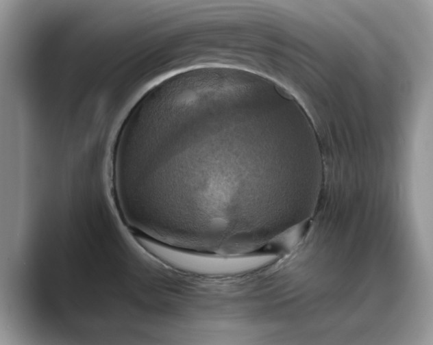 X0000089731531200707051729