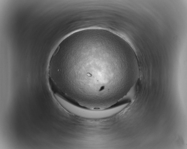 X0000089731532200707051729