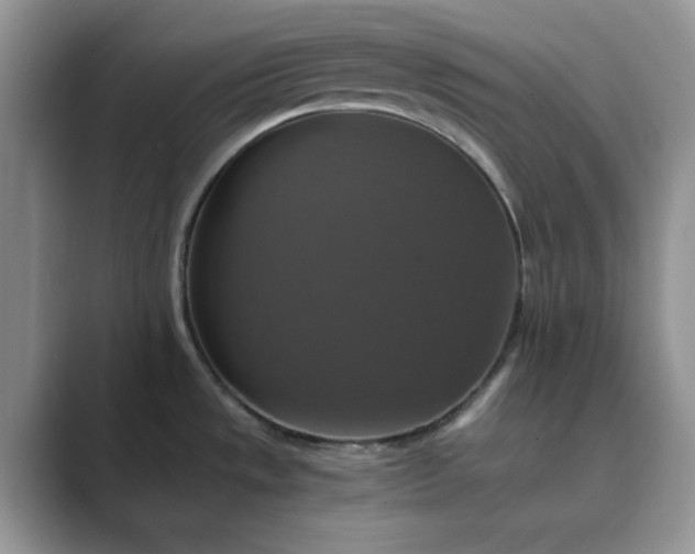 X0000089731533200707051729