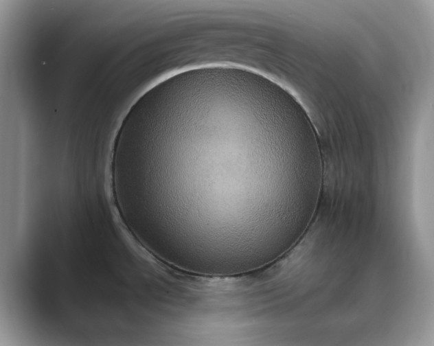 X0000089731534200707051729