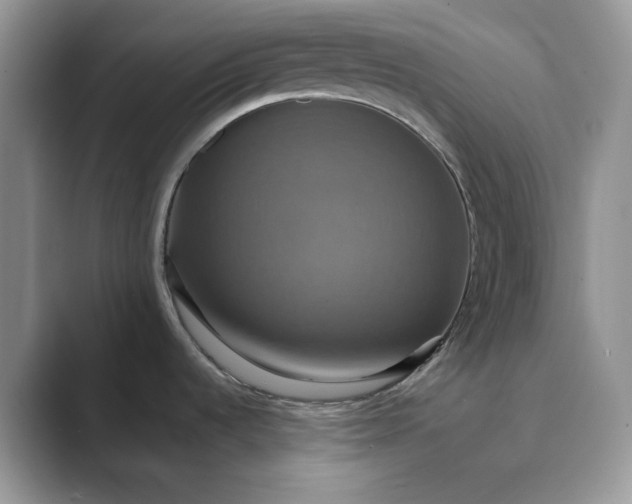 X0000089731536200707051729