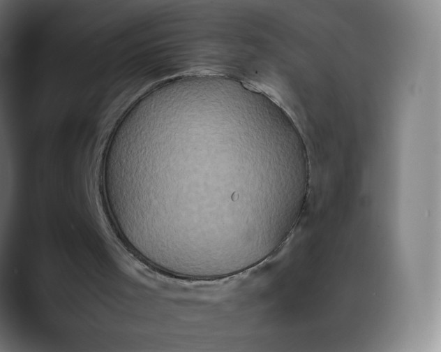 X0000089730001200707121457