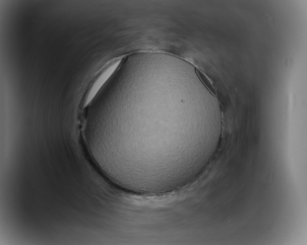 X0000089730005200707121457