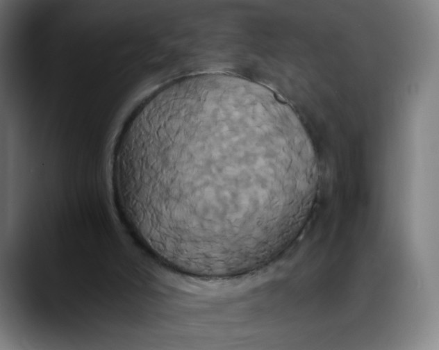 X0000089730006200707121457