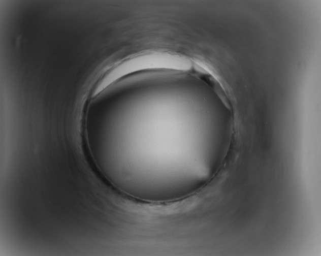 X0000089730007200707121457