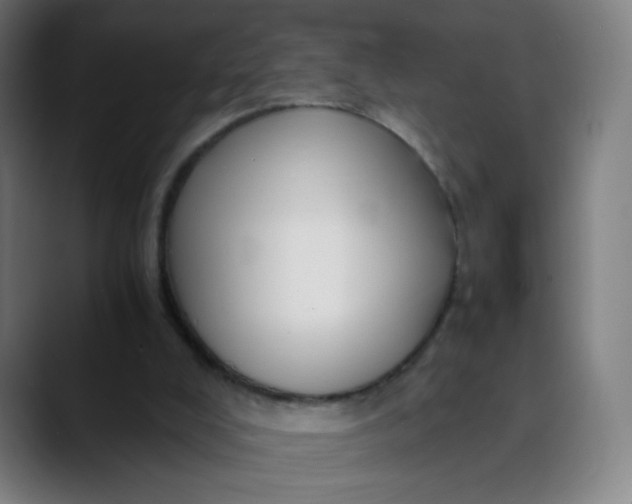 X0000089730008200707121457