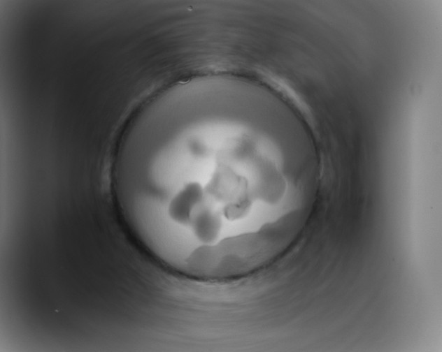 X0000089730010200707121457