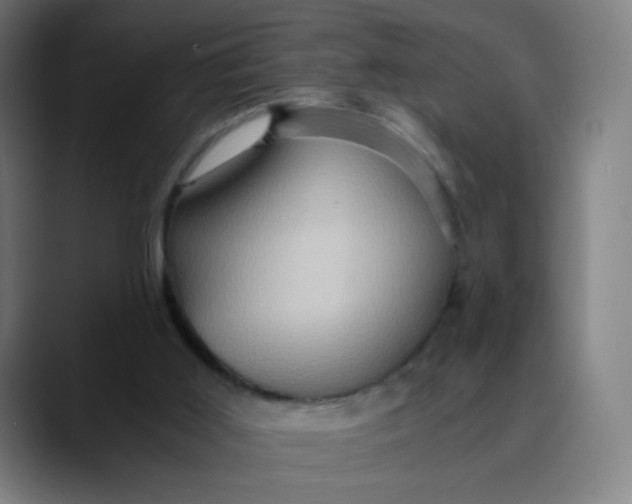 X0000089730011200707121457