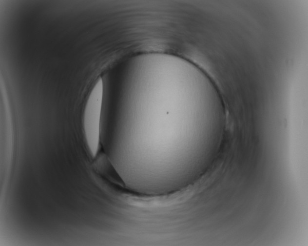 X0000089730013200707121457