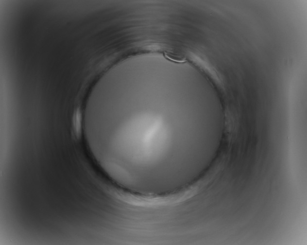 X0000089730014200707121457