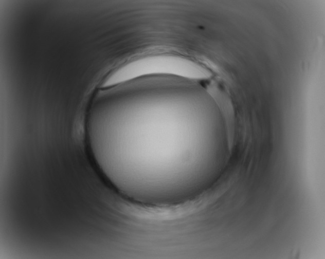X0000089730015200707121457
