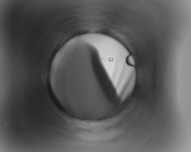 X0000089730018200707121457