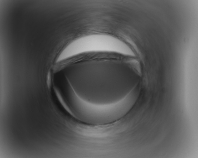 X0000089730019200707121457