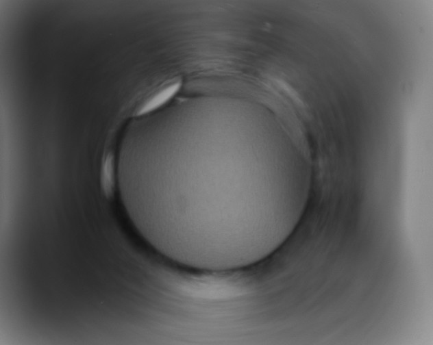 X0000089730020200707121457