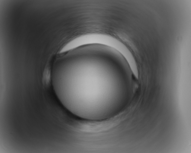 X0000089730021200707121457