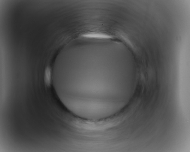 X0000089730022200707121457