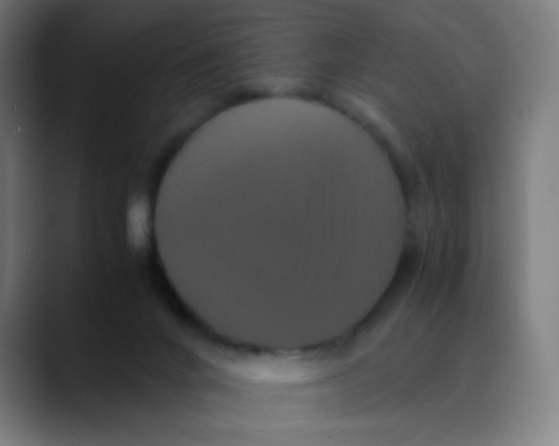 X0000089730024200707121457