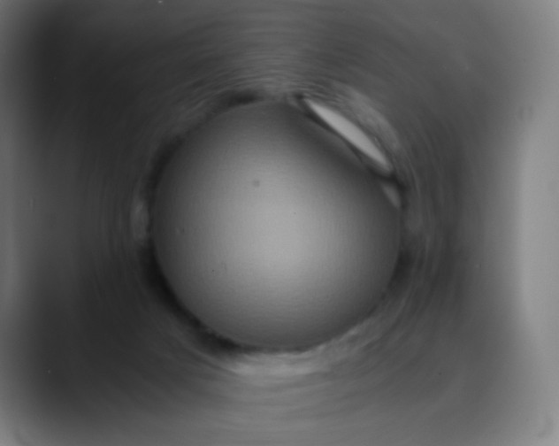 X0000089730025200707121457