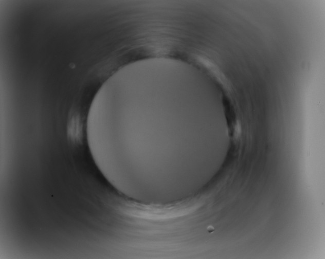 X0000089730026200707121457
