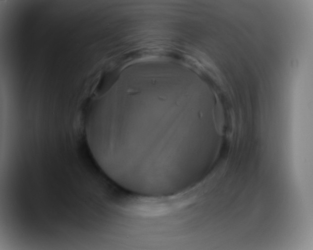 X0000089730029200707121457