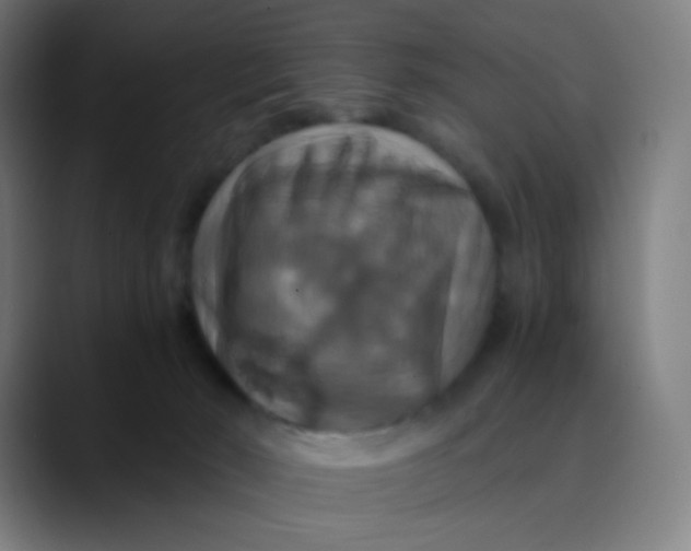 X0000089730030200707121457