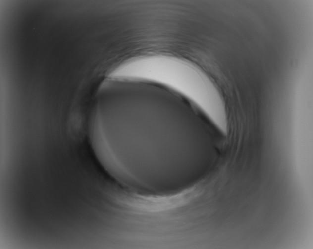 X0000089730031200707121457