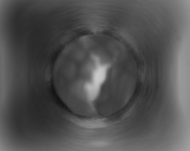 X0000089730032200707121457