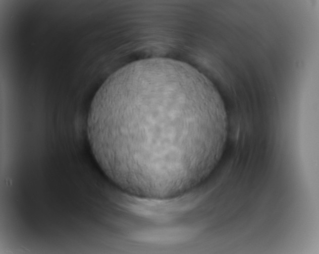 X0000089730034200707121457