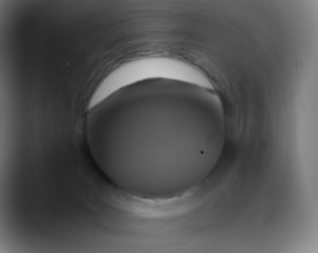 X0000089730035200707121457