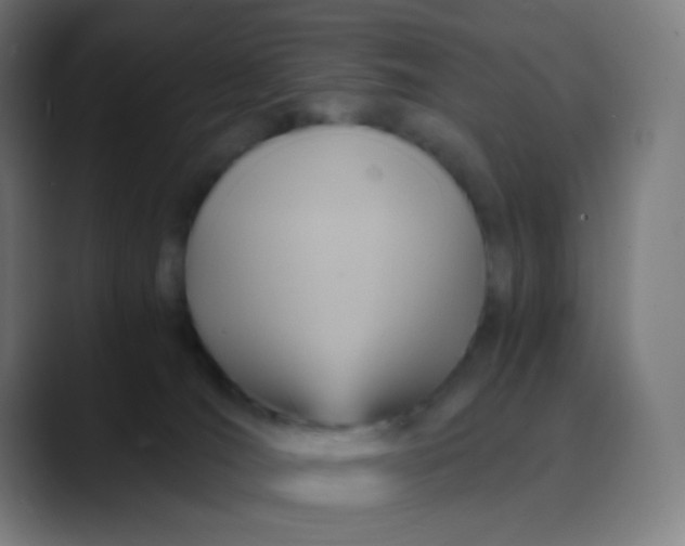 X0000089730036200707121457