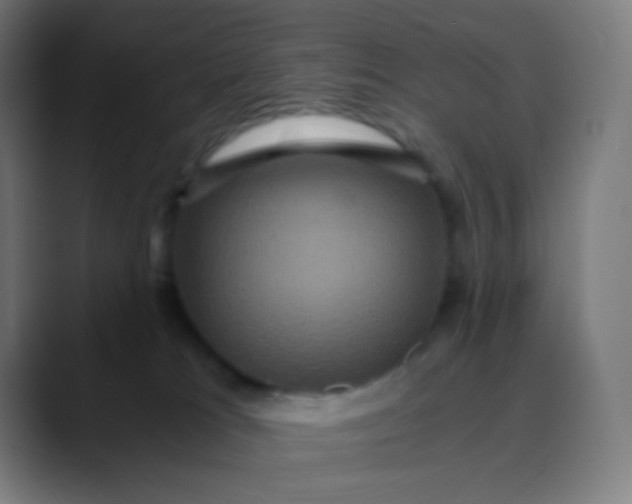 X0000089730037200707121457