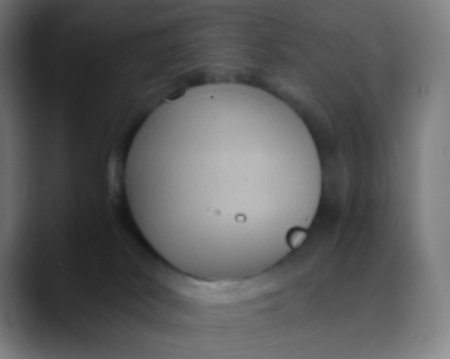 X0000089730038200707121457
