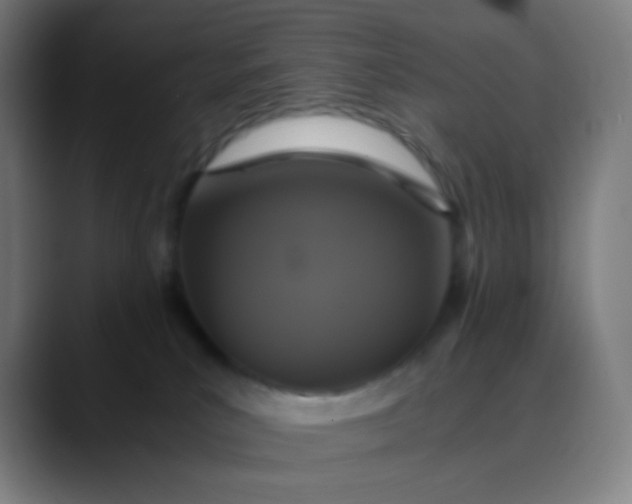 X0000089730039200707121457