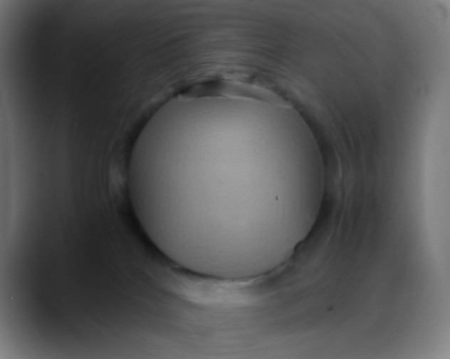 X0000089730040200707121457