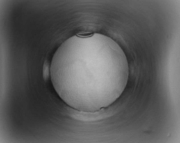 X0000089730042200707121457