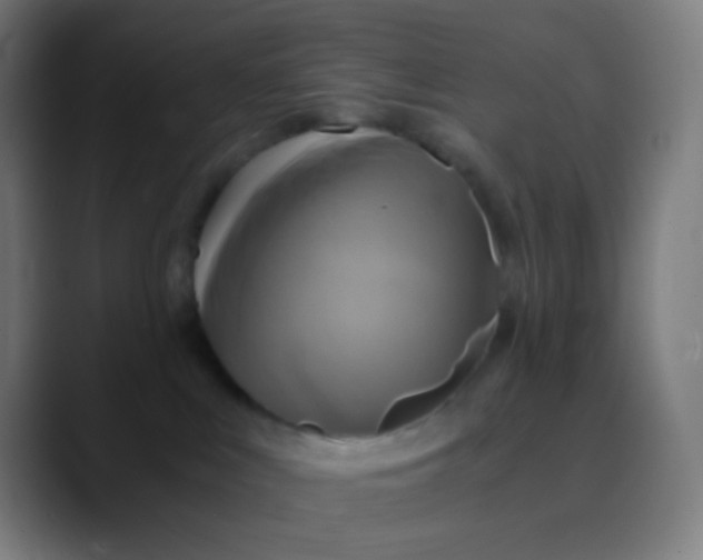 X0000089730043200707121457