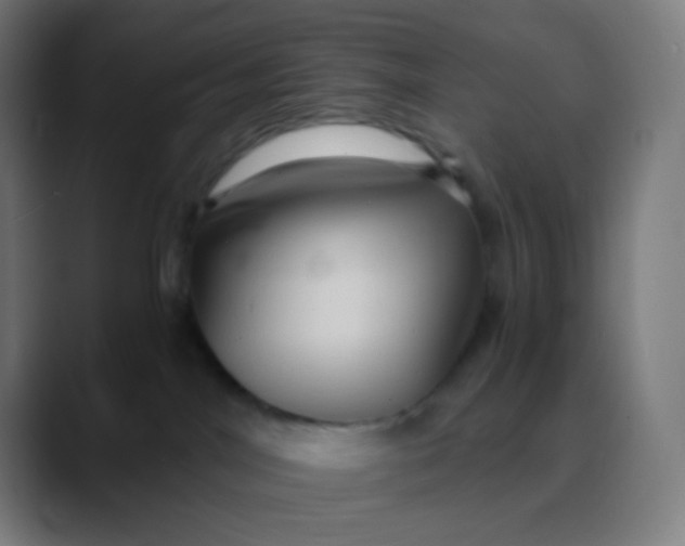 X0000089730044200707121457