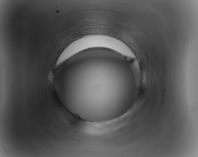 X0000089730045200707121457