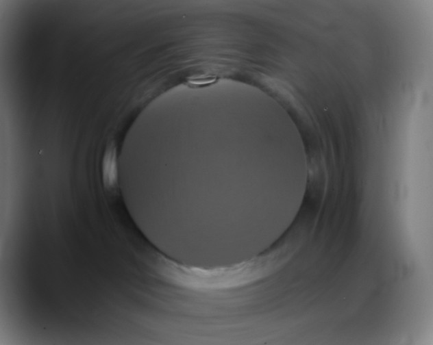 X0000089730046200707121457