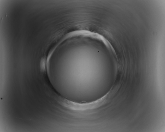 X0000089730047200707121457