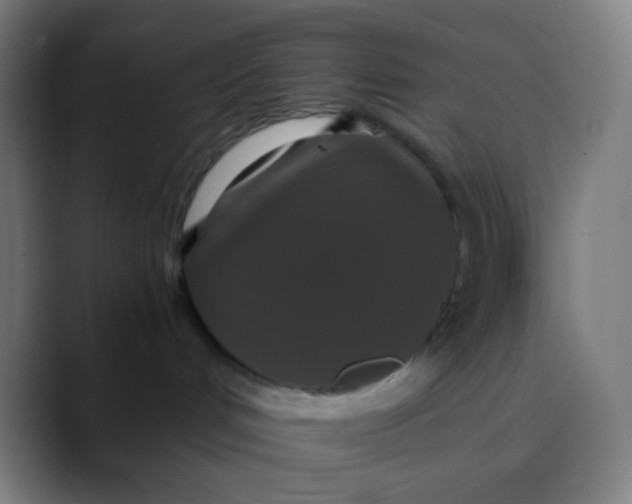 X0000089730048200707121457