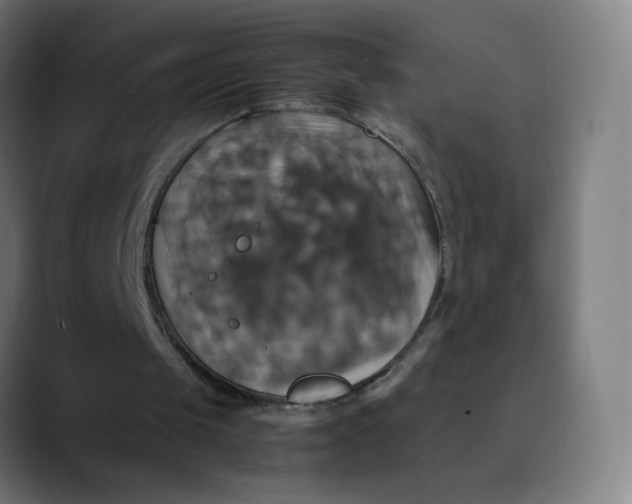 X0000089730049200707121456
