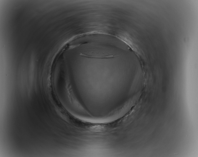 X0000089730050200707121456