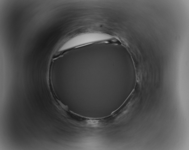 X0000089730052200707121456