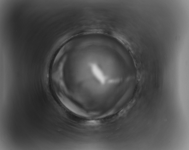 X0000089730053200707121456