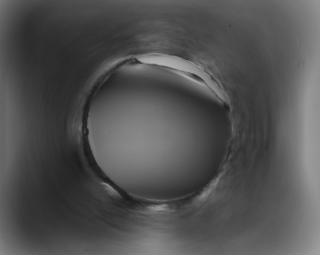 X0000089730054200707121456