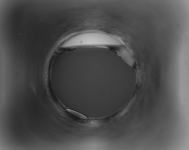 X0000089730056200707121456